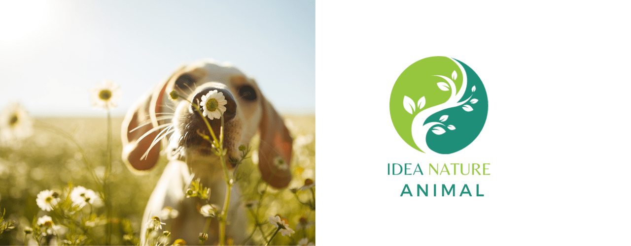 Dog smells flower logo